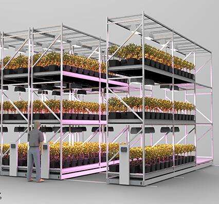 Sistema de cultivo de plantas de acero personalizado Rack de interior múltiples múltiples capas verticales invernadero s