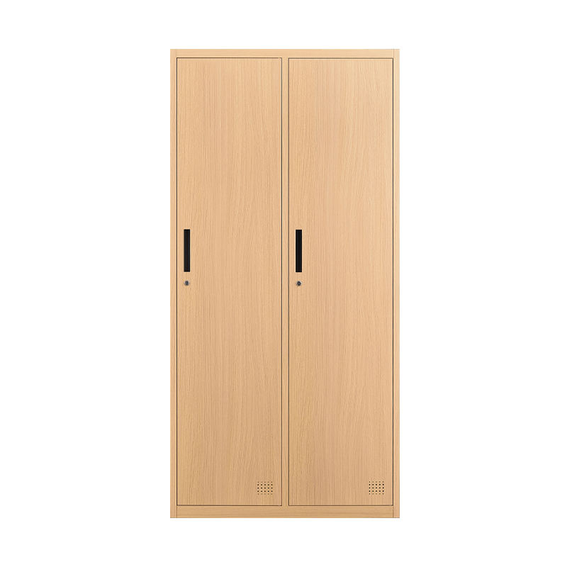 Espacio de venta caliente que ahorra 2 puertas Metal Sports Beach Armario de madera como gabinete