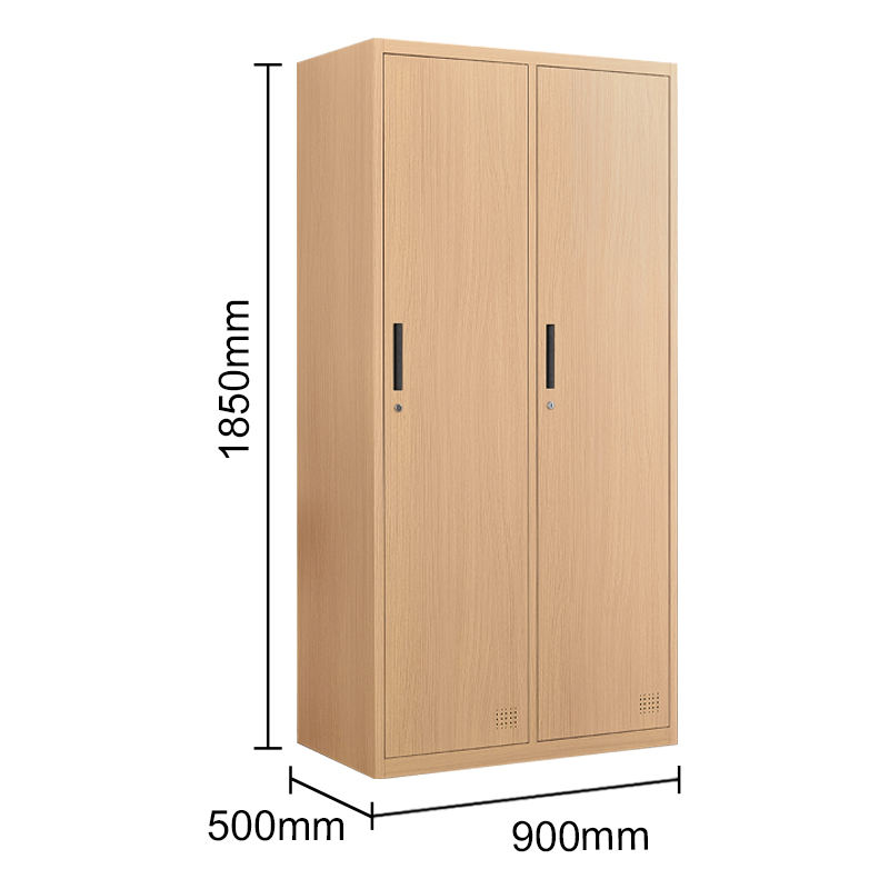 Espacio de venta caliente que ahorra 2 puertas Metal Sports Beach Armario de madera como gabinete
